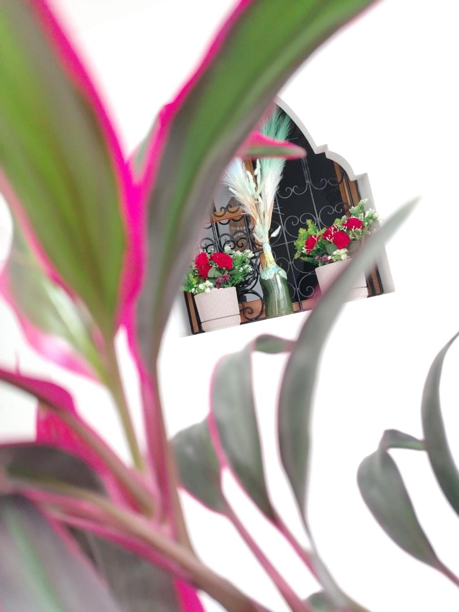 Riad & Spa Sous Le Soleil Chez Jerome & Pamela Suite Essaouira マラケシュ エクステリア 写真